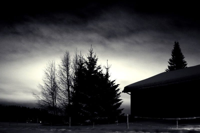 IMG_5641.jpg?t=1267059934