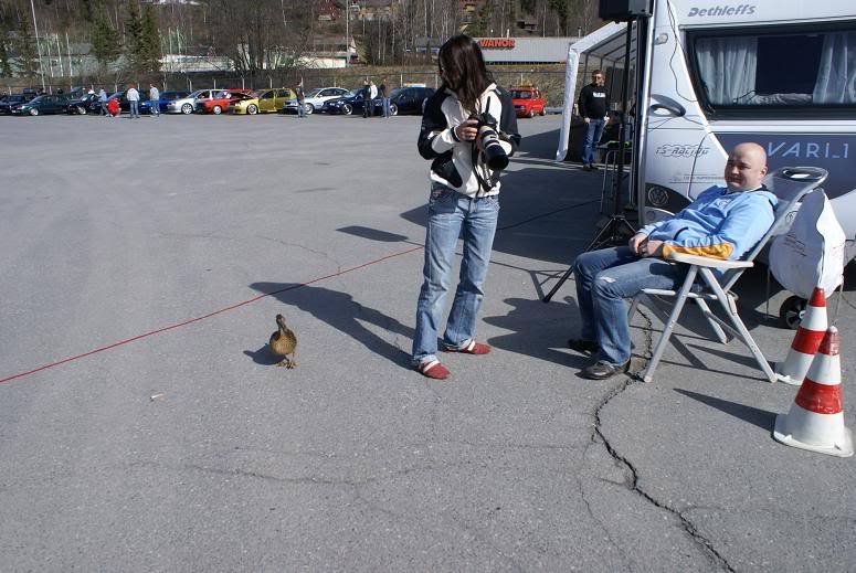 042.jpg