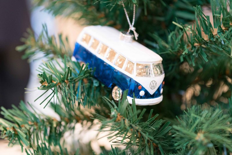 Bildet kan inneholde: plante og utendÃ¸rs