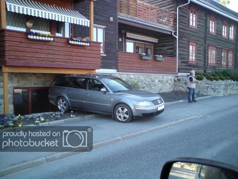 DSC00524.jpg?t=1246120075