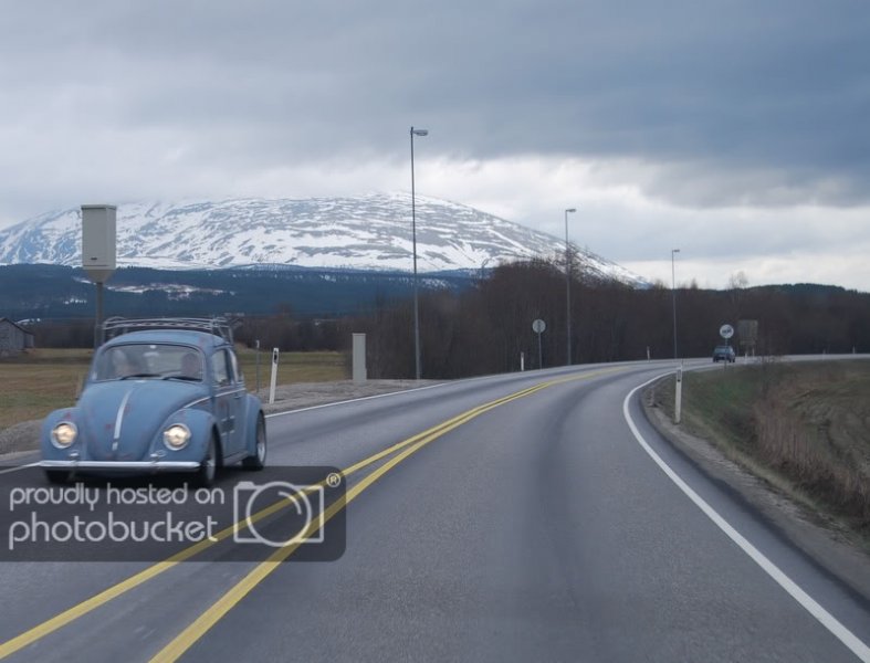 DSC_0065.jpg?t=1211646356