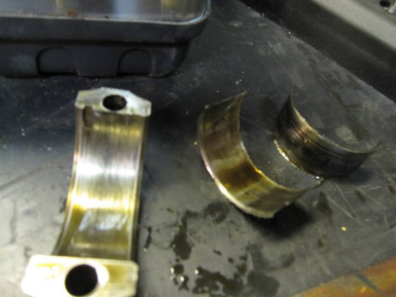 IMG_0393.jpg?t=1238367413