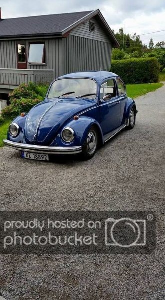 11391607_10152914091921437_4824671566171