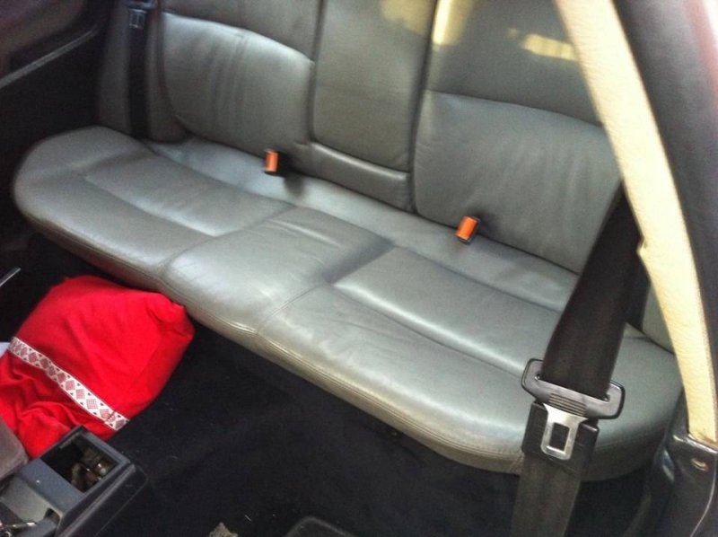 12476225_10153388178125975_500090799_n.j