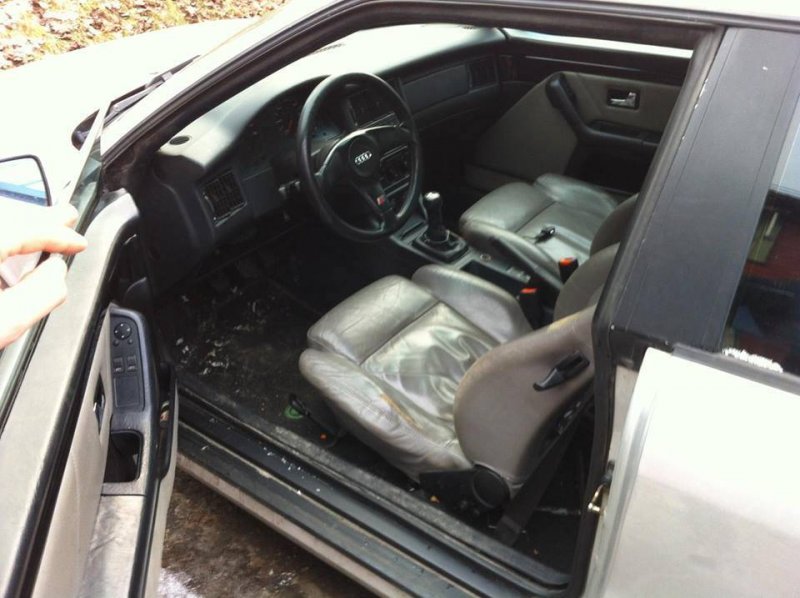 12498671_10153388178220975_1112599346_n.