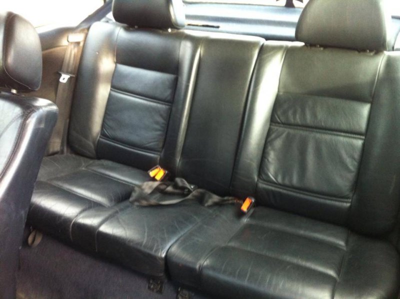 1394447_10151652896260146_129041896_n.jp