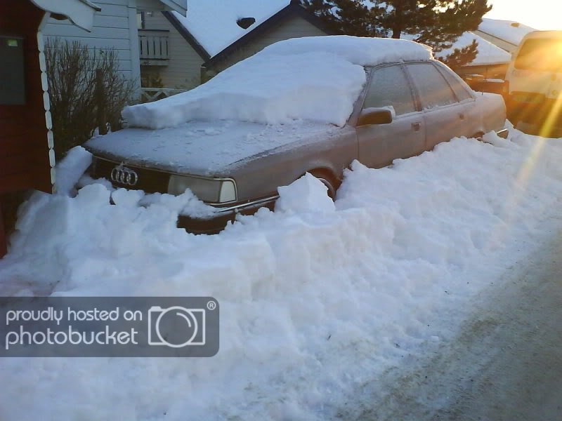 DSC00037.jpg?t=1201601760