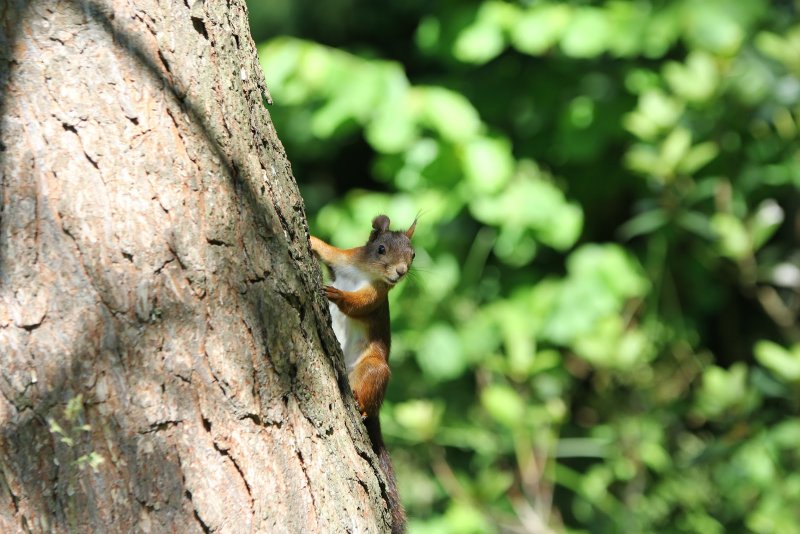 5vc1sfFlzfI0UzNprRYrfHJTgBIpVK0yPggqjWXYC1FqWPus3UnzIP6BQsOLTqI3LTdIRv4qPzcg3N03ffH0Y9AVFZuD43qAWaH-jnlPNIIuSv1GJ-joa98ItlGfTvDWcomcO6padPDsL--3FbTzvQ90449nfX8wibo47rKnlttrHQlDD903A8kXjgnMowzm1-ECAeHPpfbSbf8-BRULyU7gs36p0RjatbuMQUrku3LHStWXhoFIkNJG9J6u6pHVhQmPLFE1X7UombPac9Bgz_qwXAcbMDN11qfJ5d4xEZE0UuwoT4-4QS709JnDP2zz5719KGljI2Sr-Rz8CD3cTTkAooYD3n8XjN4mVu3YiGE2m3iJtC3R0-n2qAYkE8Baqr6CK9A7vJPXVA0LX1WDlFc5LkSCzCGSvCQgUMpP36QswGpa-jZEQYBNQ62DakkfcdwE0mu1B0Yd8b7ng1GE-W9YC3ly9aZnFUSnIlncS7bccDEC7h0hyfjvtl_4v1CrYTdCZh4lk9Rww5RHTbTgdNlazulEMmZpX5sEdniISku3sJXdjoxHdHj51nKja8L5Tn2Z2FXU4ReqOVudvlSbk94l746XNCLULXuSqS-pMglLcMxWlg8uHXMHOGqNhVSuqBZCN0WW93a33ZLqipuInHKdRg=w1600-h1067-no