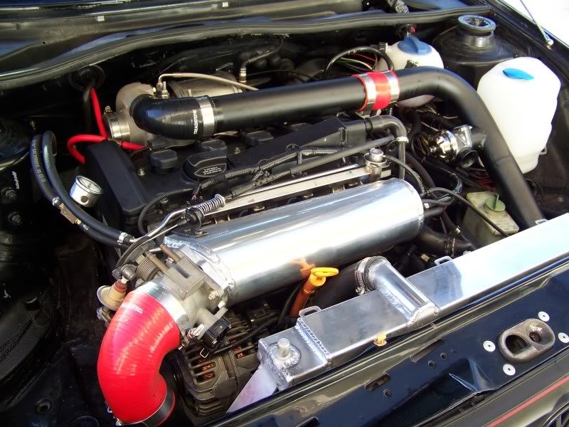 100_5951.jpg?t=1272370637