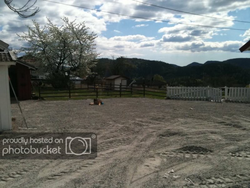 204488_10150561995440389_768190388_18340