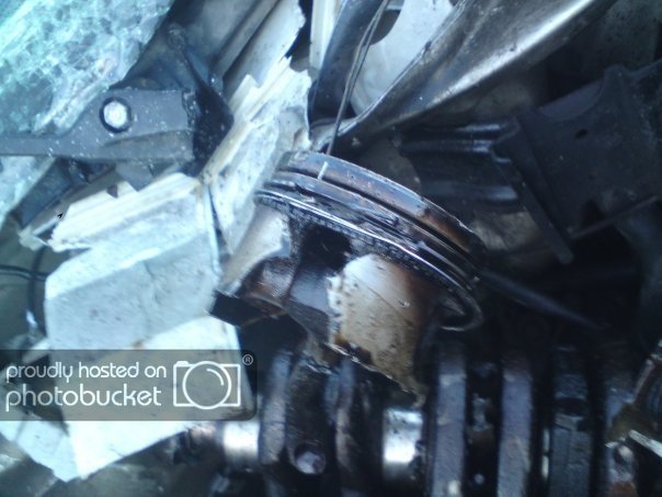 225381_127481857326615_100001944045231_1