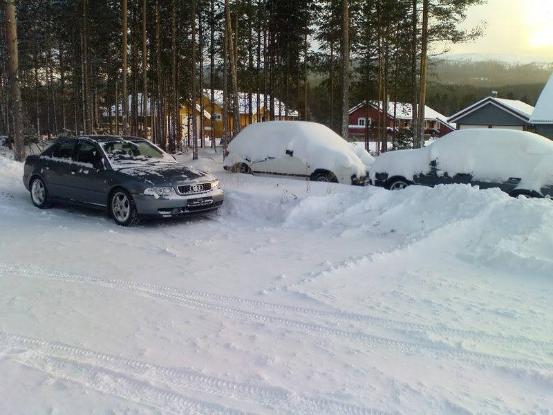 DSC00094.jpg?t=1197239520