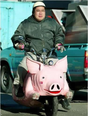 36%20Pigcycle.jpg