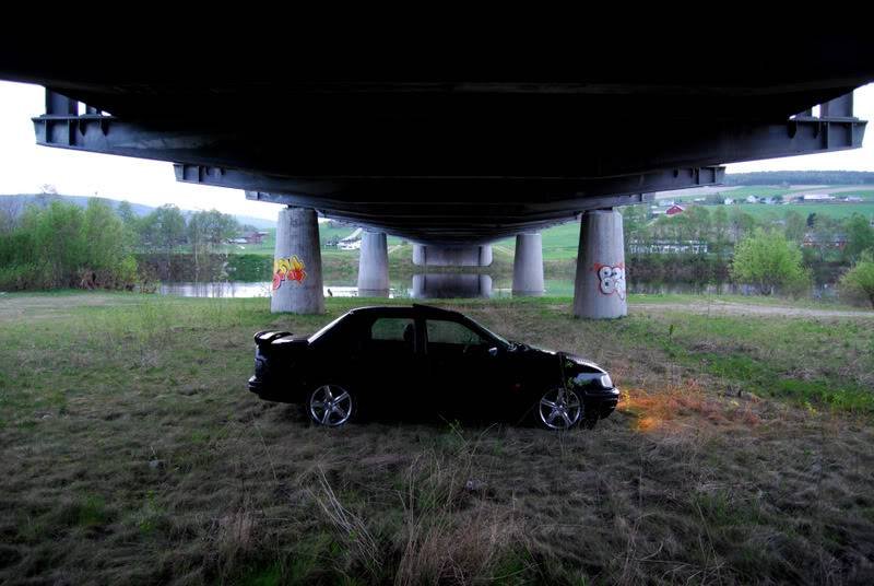 DSC_0088.jpg?t=1212272416