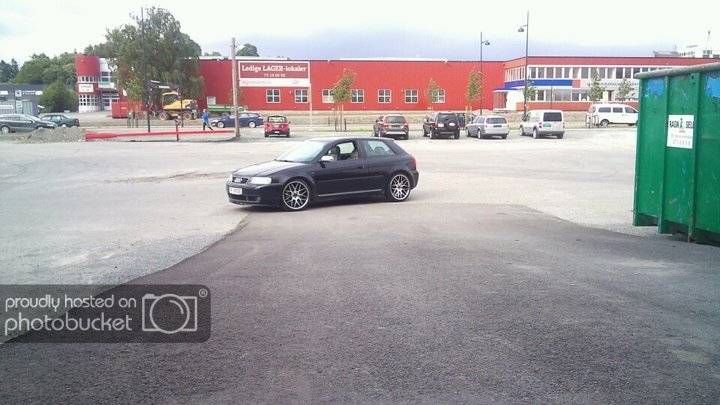 259956_10150292419927247_627357246_96314