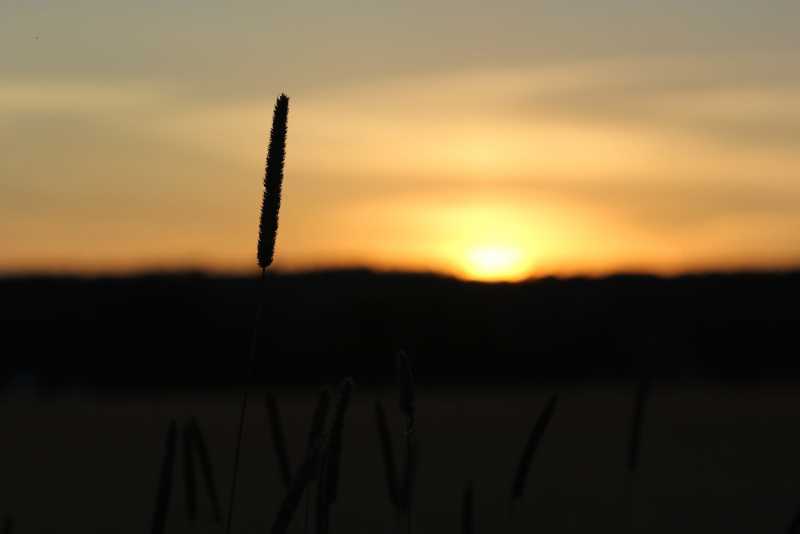 ZzjD9ohlaSHXMv8FS4qUFwk682ziDveh63Z9t8pptDpMhSYPV_0xUCDdDwPqIkrF7rmn2A7ujgqzc6dnG8K-bXekFm5q_caY7OzaFwRzNRWmanvYcD9pwtGbX90ZuVd5pNuM0ic8anIreOLqiUa8AJCc9MCvSHx5dJOzIX4Np6MlTtkek6rAWVDMTOGDFo_FXN-ANsPnTZmDUSN46bB5uJqyqnkeTlC2Nwrrj87SxcKcUuyifGjDir753Zm62gyeANfoX2EGUAr2TUjB63W9grdc2hb92inIF97ha37Aldew4rur3Foxmz97qp0rvSfmy9nXTq5iZjnCKefz9mI4vUTDw4ho1nbitmWKfOJqxlktVTkOPQ8MvGg7rKdF84uW5qsPSidIu6NVHQ9eMvPoHt-ut9T_S7QGOlWelobrsaWfsc4pHcSiLSuVqEPUNeKE1zKMdQPO8LreHtWzS0J2aJVXzkveYDfBCcBkYa-xfFRz8GL0n_fITyOF7_fB9pIfKi4LBJZKoJYhtLb9xARwZrDZNkKv01y8E_f1H4QYoEZOgGP84B9qz6yi75QtduCI64uX4LgzNeOPzAMlRrnJu4nxS_p-giwb6fYrqQXZ78qPqaJgaYVehdoOHf7M_7cvKuyM7Wtm-gMKXgm-AWzN1IkRrvtOh7Schtp9MhS1p5ng9_qjkOcYVfo=w1600-h1067-no