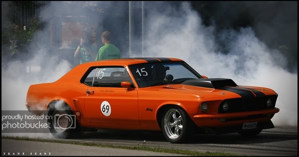 horse.jpg?t=1235402992