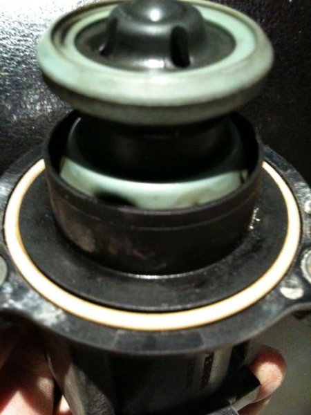 IMG_0450.jpg?t=1283969068