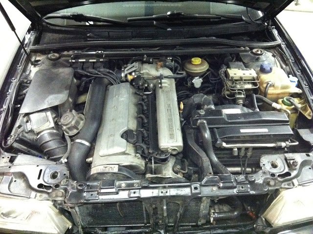 IMAGE_012E16BD-2D5D-4738-9F74-81A2265AD2