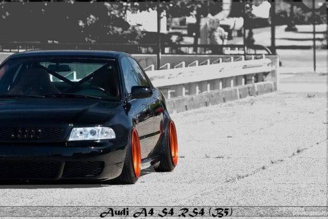 300269_250019561710567_182463078466216_6