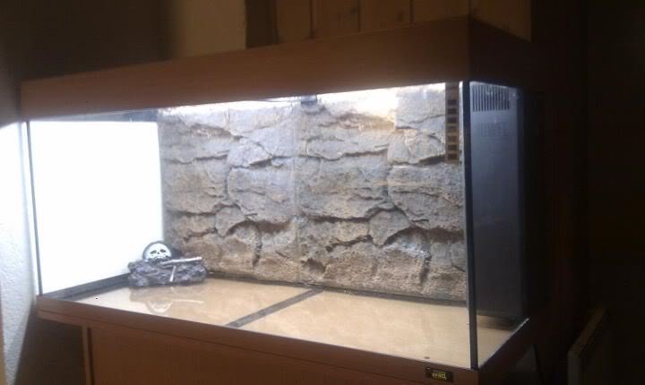 313237_10150876000560481_873260480_21409