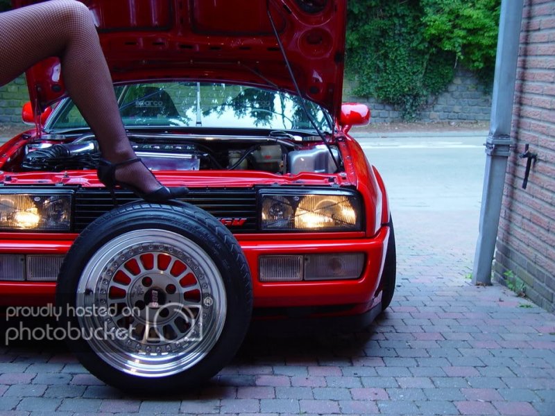 DSC04334.jpg?t=1235171735