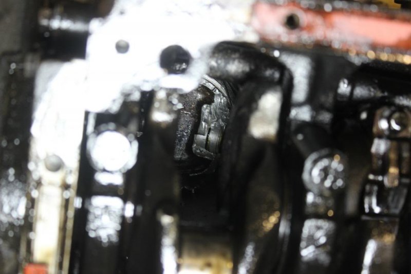 IMG_9110.jpg~original