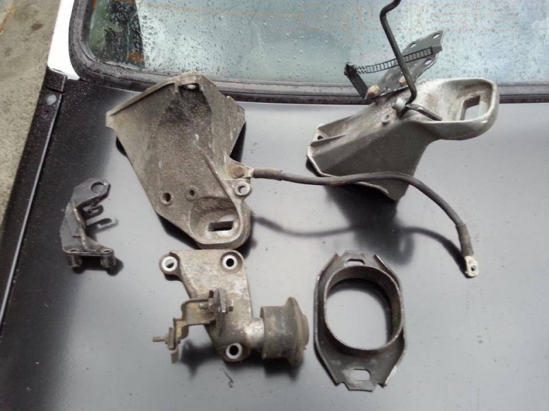 423813_10151030198305583_1033626465_n.jp