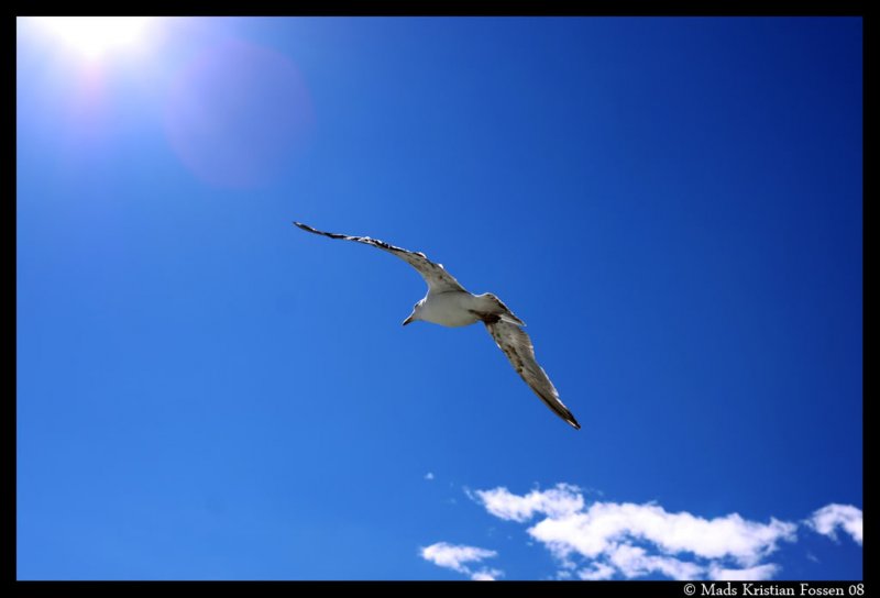 IMG_3831.jpg?t=1217377474