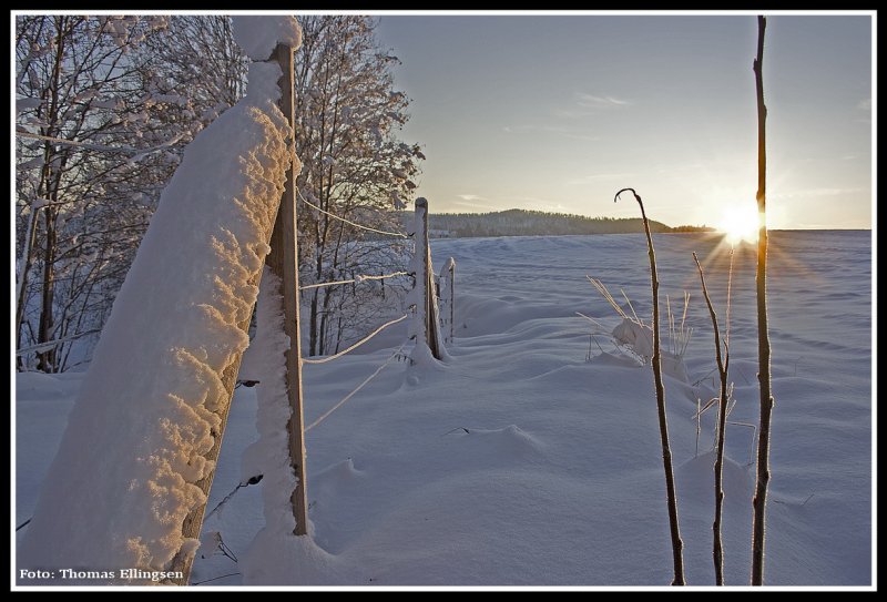 Fin%20vinterdag.jpg