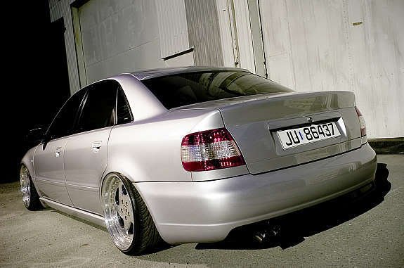 ass-1.jpg?t=1221336433