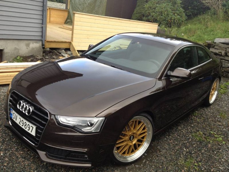 548614A5-0BAD-4CEB-AD10-F798A29A7637-245