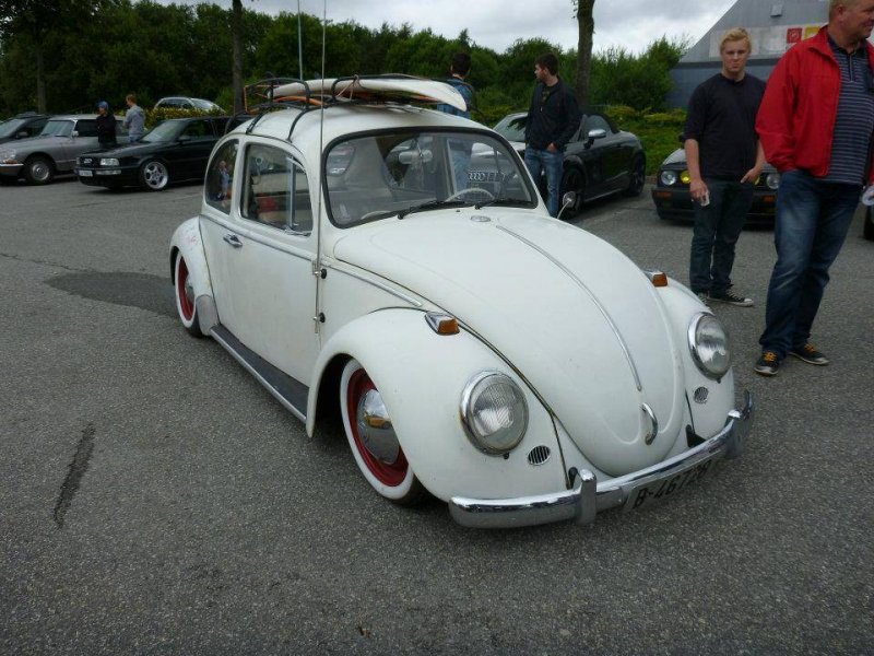 559339_10151950140190411_1318685829_n.jp