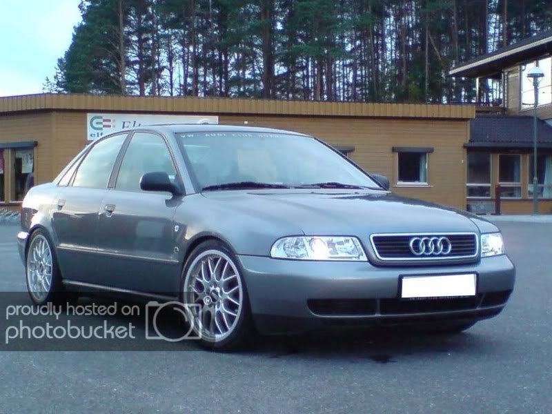 DSC00054.jpg?t=1250743780