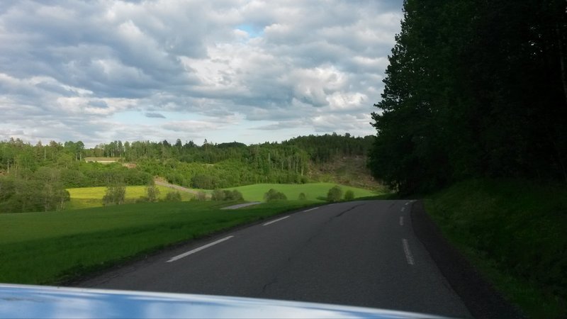 Bildet kan inneholde: sky, himmel, tre, gress, utendørs og natur