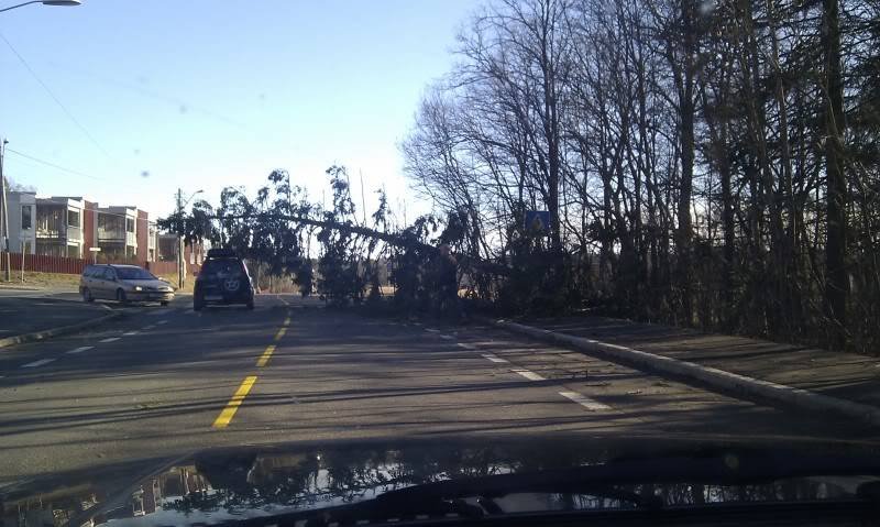 IMAG0306.jpg?t=1305640732