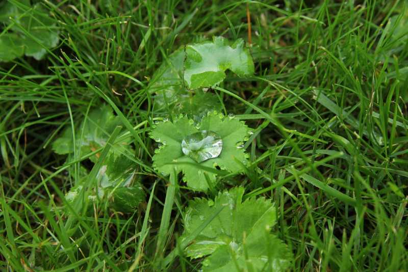 FI6xBQ7hoder_lWr0i-VtREGiCFih-zLWacqaVNx4fda3ap6ZVccqWSKnnlE4GoW8YtFz8uJvS-LCbxJv7QGWsvZlrD8P-xR1EDr3sQ5bLi18WcaA05S6gqUm7Dsy3syru3GIN4Y7Ga_dizbumXyWzd6USzhWsIP0F-fymHGYRUR3mJLfbXwW8sJSsv5VqJJn-1LpAxOXsyanRSTsO257xs1o7gIPtAndIC-z9lZ8rtuzjx0-elov1FHvQ_vLcgyo3WqO8syIBTKHKvvQJxDmjJTjy3x7LbqNXB5z884Q1rWCgW-blyR73EJnFQBpQLl7dDPHt8pRqRXjxbYyQYsXLi_eZuxSMtyp9tf_w3QGB635qKsRNJ7pHpW1WHkrpqJHNVf1ywCu7KEcvwCvd9Ajv9sg1YMi2OrYQo7L3NLULwkaEUhHLsNieKfLwUaHlCuL_9hrb-jHgm1SS-Cn9j6UIUW9nTzUKC9wXXyPR34NwC9xa0STgXKWLvfE_qXfrJtaoum_5aKXN8vcEW62d87VfwmeQNh3DCk5uSsBnDOHHpYx-lenfDl_-qCCLnXATaowXdCbDvXv4O6W-9-OV7mMkvXmwwhmj_qlkYj9-RoWJ9V-tiCzXF_mca-Xwc5hbBWO_I8cegXVs0pqs9Gzr7stMZwM6RE1gmEM-V1IrqB8Z8w79b29f18hEk=w1600-h1067-no