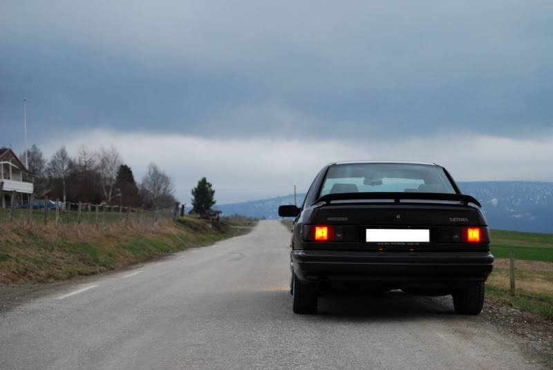 DSC_0075.jpg?t=1212269099