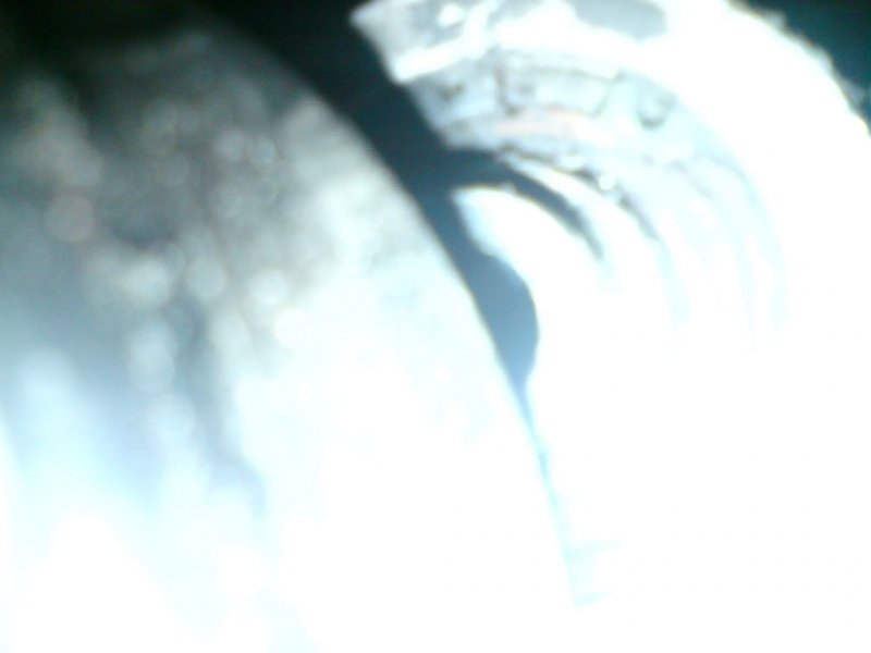 DSC00029.jpg?t=1283802824