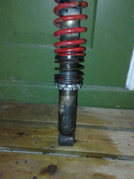 Bilde382.jpg?t=1195753587