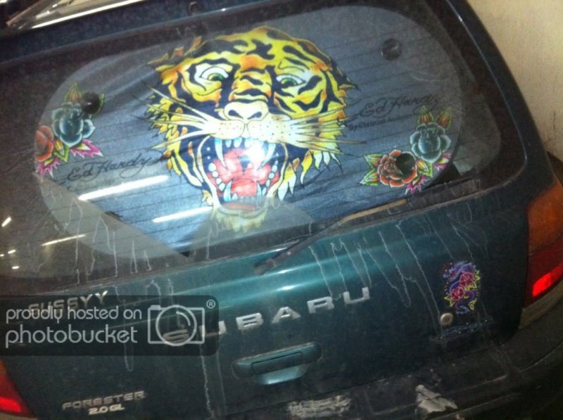 fee5087f.jpg?t=1331713652