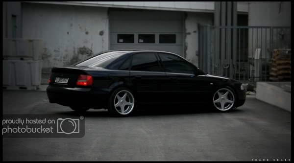 blackass.jpg?t=1216752685