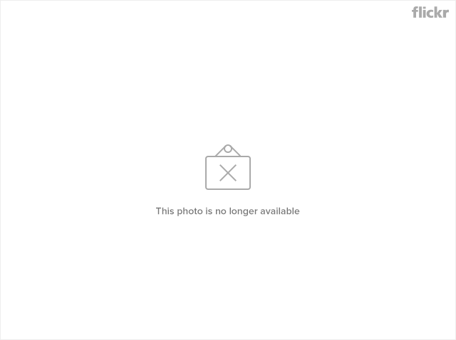 7329227382_5a90532521_z.jpg