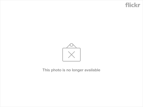 7329650436_c84cd5fa63_z.jpg