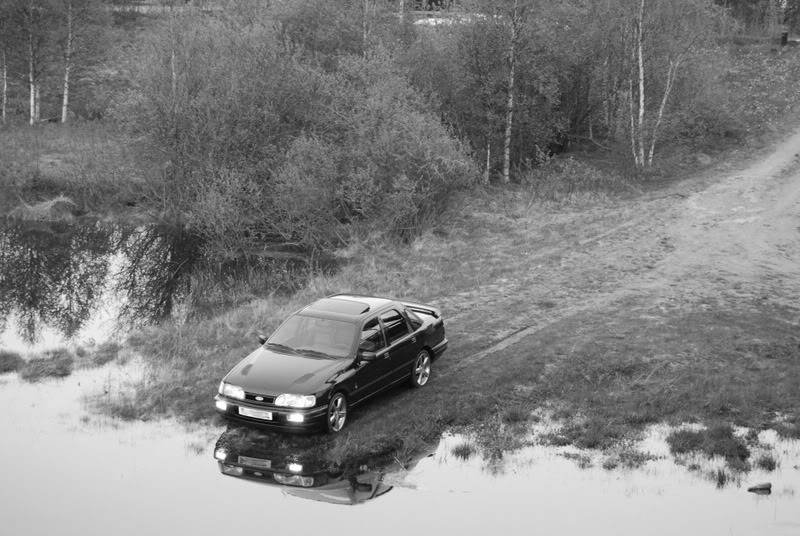 DSC_0082.jpg?t=1212272367