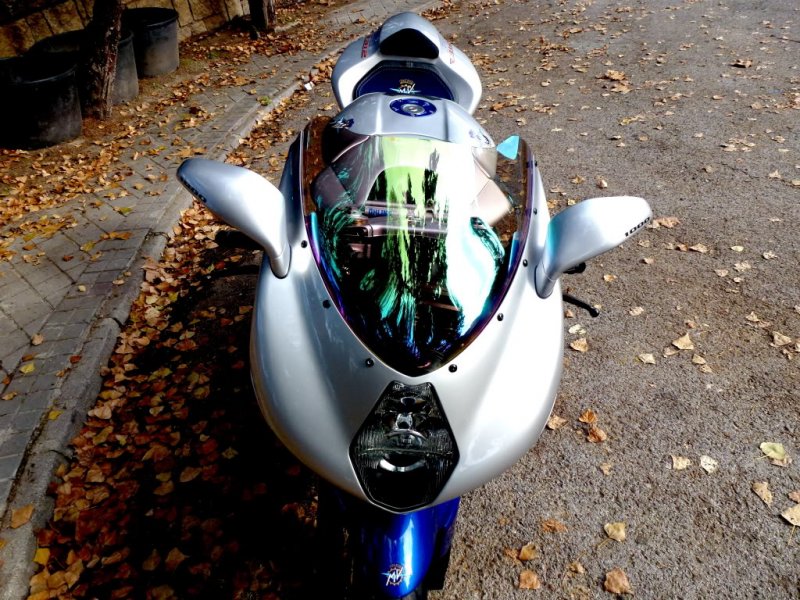 P10000441.jpg?t=1324367195