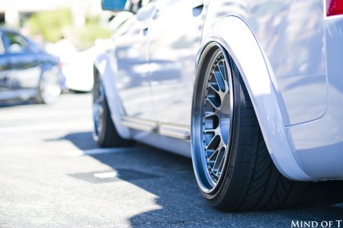 igp6181.jpg?w=500&h=332