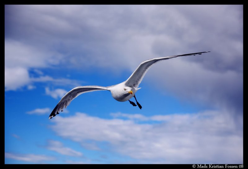 IMG_3803.jpg?t=1217377432