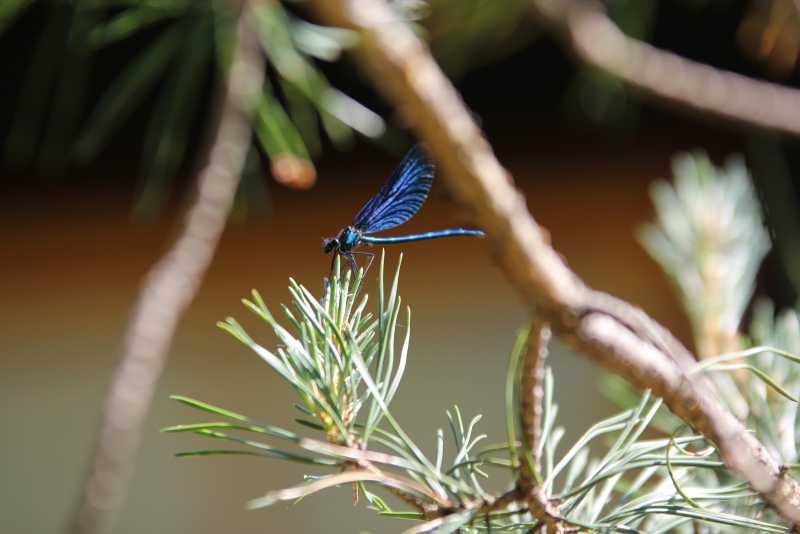 bVnZXsGCsQajGEU58XwstadsmsdGJLCByGXqCNKAP-KnRZhLvhCGgXhbgbCVx5G-YZ2q1GdirQ5VZfXnooZ7JB5i3qUAFYqZvWbFEmkC-AWZWGAbrFFEctNANdUfTVwekwLCMRkZG6yjZ-hk3nYPfugIF-K83jJE3McYdtB1_1IoO5DYQ2J6xgnqlIBLCGU3S8uv8DrR8vRXyveml_J4mockaIDrzkmjhcbvzBp3Peg9S5hvOJxvuf0Xfidslz--aqjcHkH1KdWLzPmcWTuAC05U00JmHTcUpTfzKfXfAGI4DRFo5t07ir_XzbH5Ftc3dNvh0vpz5o5KOeTmLAxLfo6mruzML0AM_ufowDdNuFq6u_CVnL32-AreA96z2HYdyPy9KTFe6tZ99TlAoK7Favo4cNZTPx-saTxRMWA_43wCAqxJpjaLwOEubfnptrHQxVkFjMX1a0zbX8ImhetrxqUQc3Uqy_-MeODkSO67YunPd8qbJ3UXbZ-T8efWY741YdLo6yM02bFLSXPU7-6O62efjrjgu5MFxTQVc1uA2mAgYXJLs4kHjUvo4S0NduBopFc-UVrJLVhgaeBdpj2s8MTR-NXD_B8IrDVeHqxL7MLsdurdrsPX2Hf5qVCbCqzrtmqzLHyhFqTRPjbOa4RKUb0c0rFUbUF4i2hZpq_lo2krh6hQSIN40PI=w1600-h1067-no