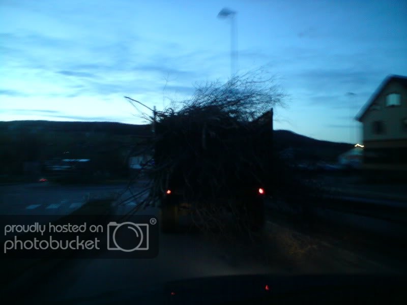 DSC00432.jpg?t=1241990813